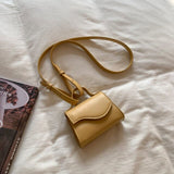 Mini Crossbody