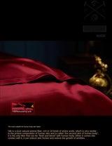 Red Rose Elegance: Pure Mulberry Silk Pillowcase with Floral Embroidery