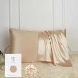 DISANGNI 100% Natural Mulberry Silk Pillowcase for Hair and Skin - Front in Pure Silk & Back in Breathable Lyocell Fiber, 1 Pack