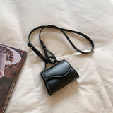 Mini Crossbody